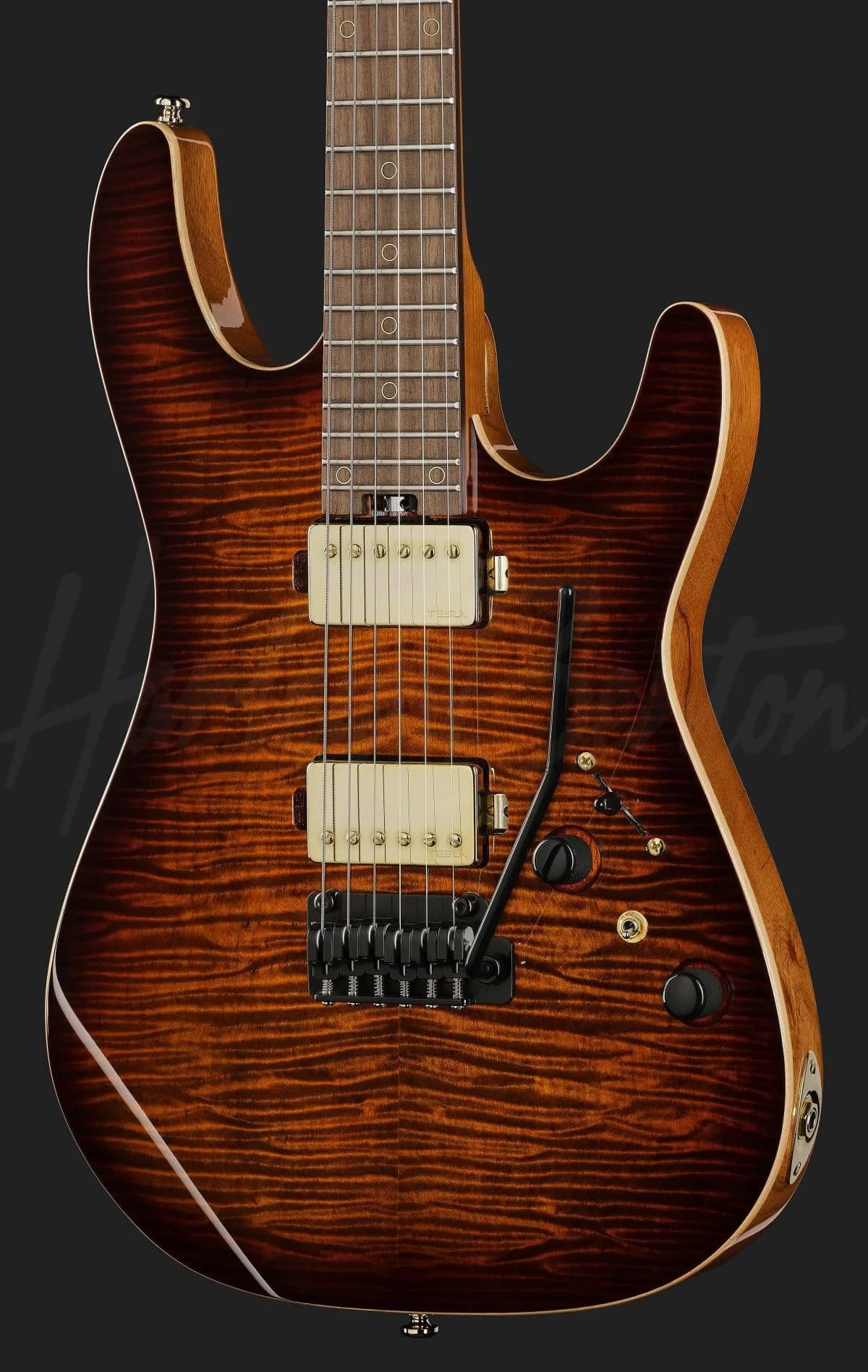 Harley Benton Fusion-IV HH RW FBB — photo 4