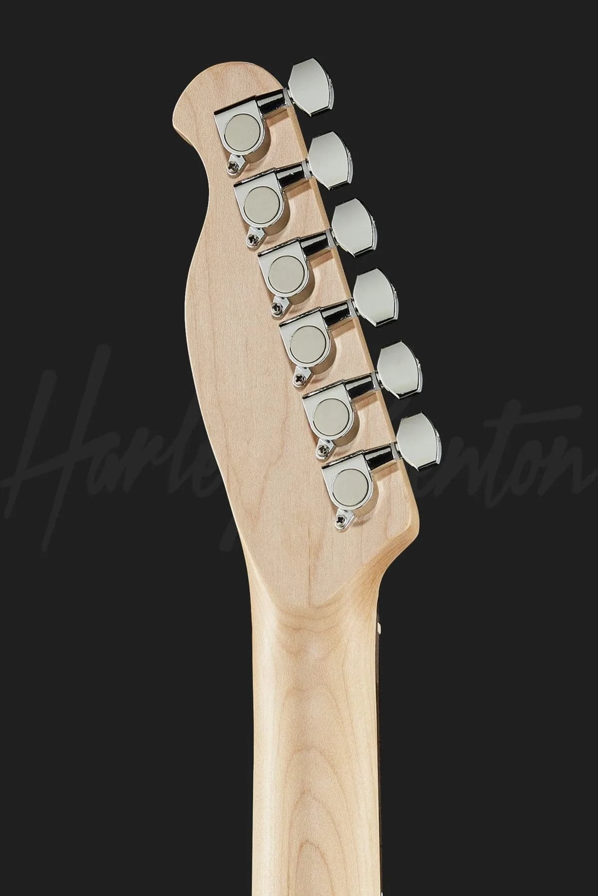 Harley Benton TE-20 SB — photo 7