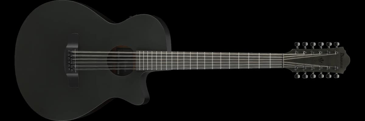 Ibanez AEG1221
