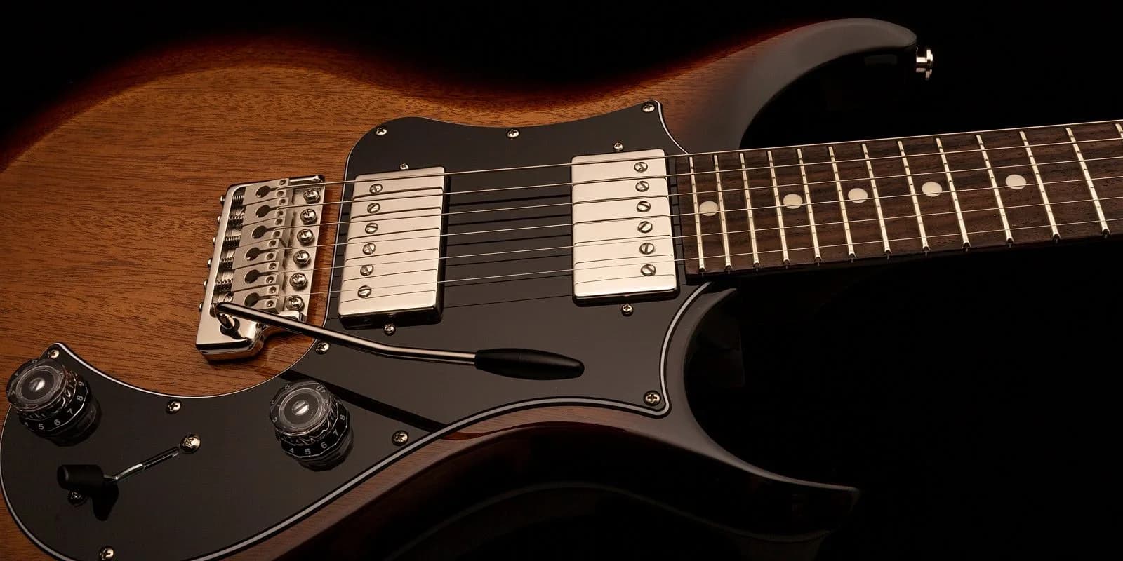 PRS S2 Standard 24