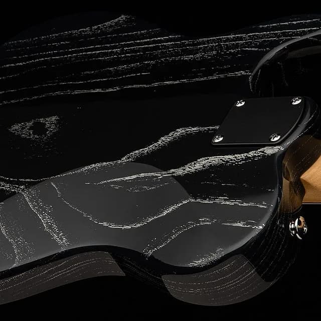 PRS SE NF 53