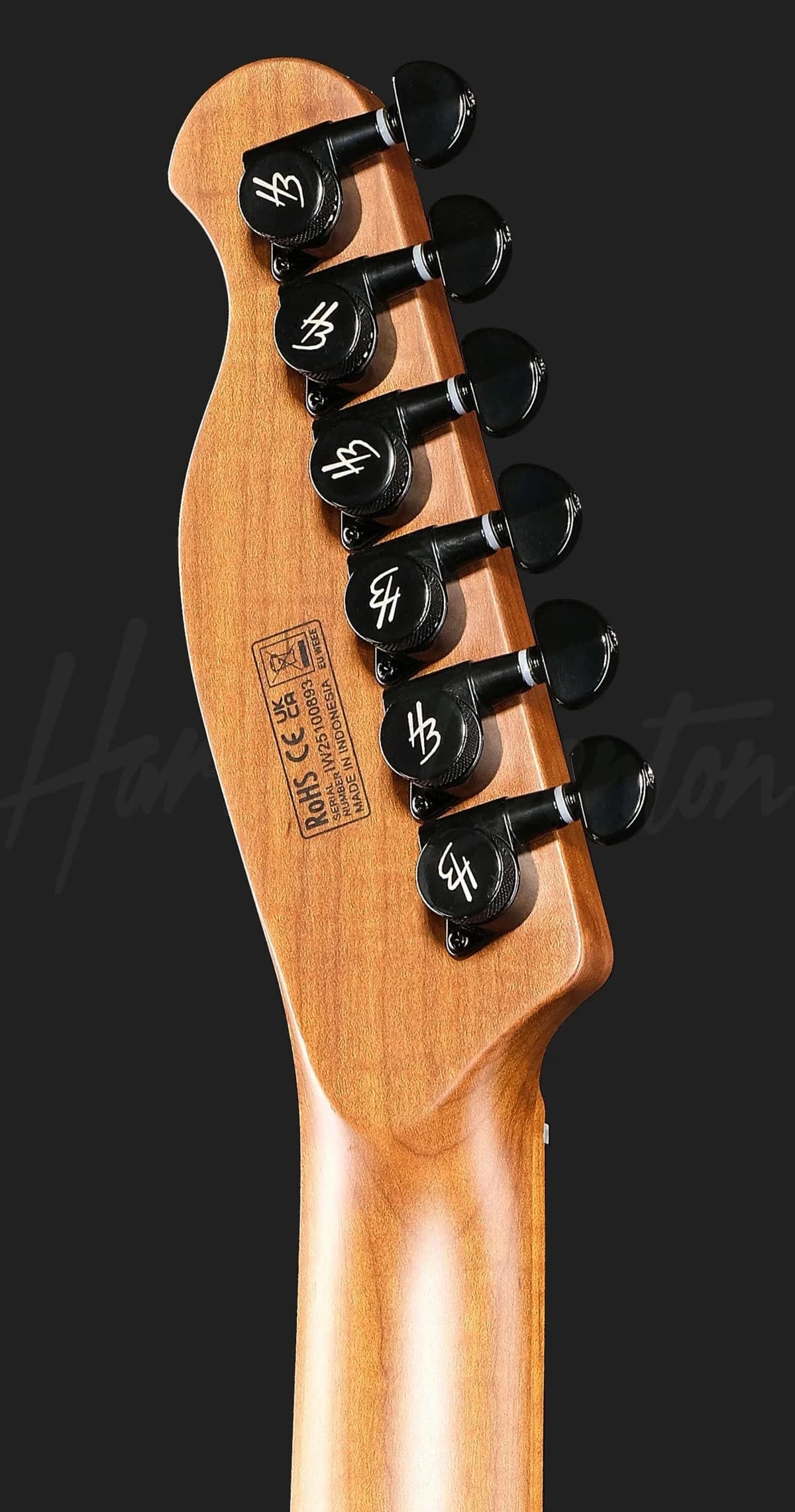 Harley Benton Fusion-T II EMG LH MN HT SBK — photo 7
