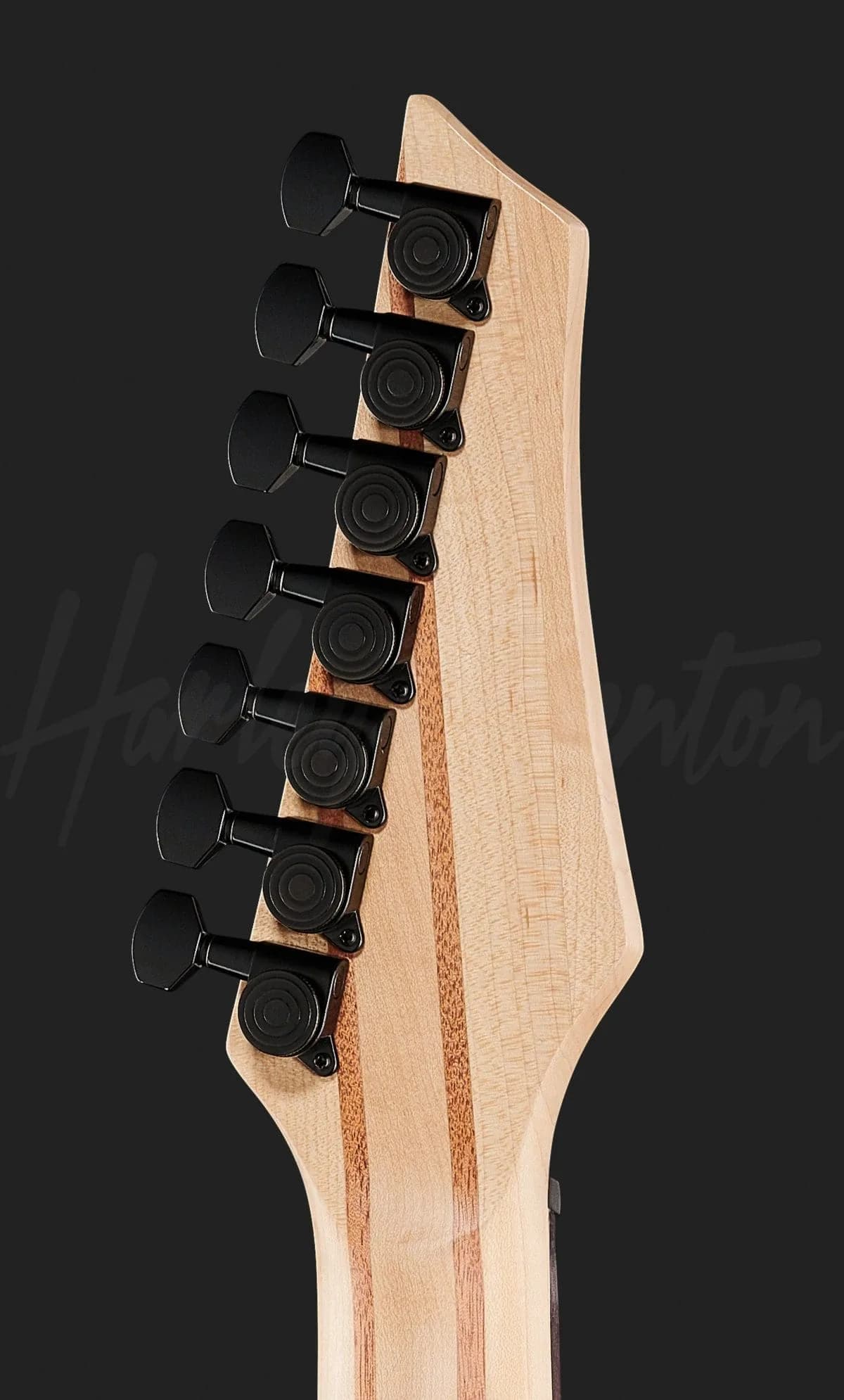 Harley Benton MultiScale-7 BBB DLX — photo 7