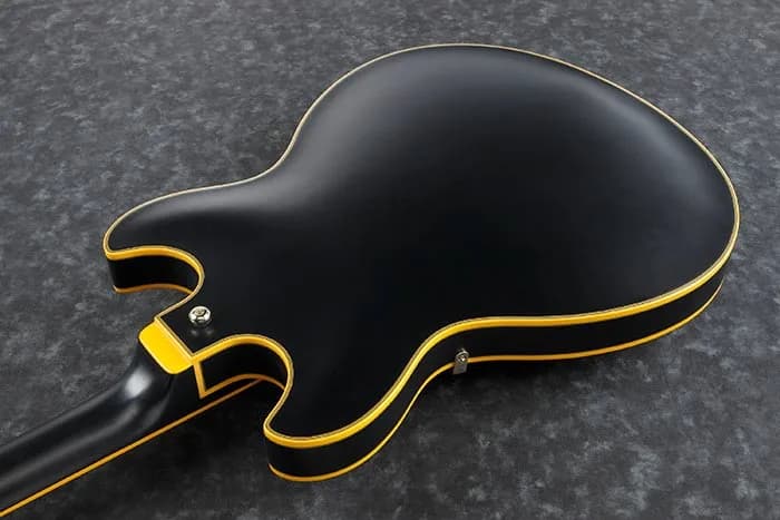 Ibanez JSM20 — photo 3