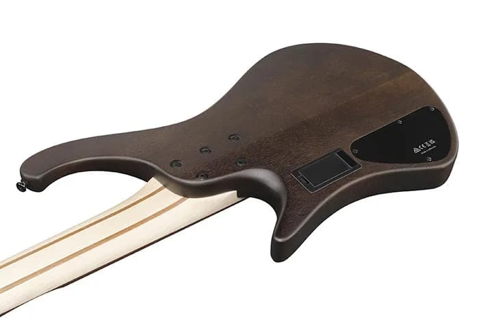 Ibanez EHB605 — photo 6