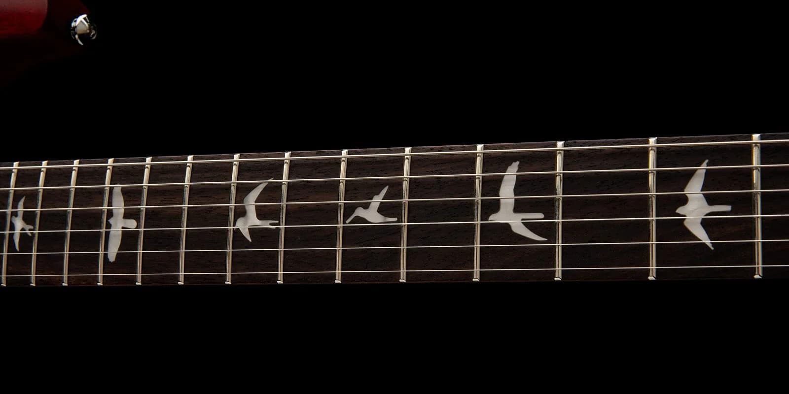 PRS SE CE 24 Standard Satin — photo 6