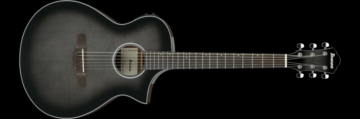 Ibanez AEWC11