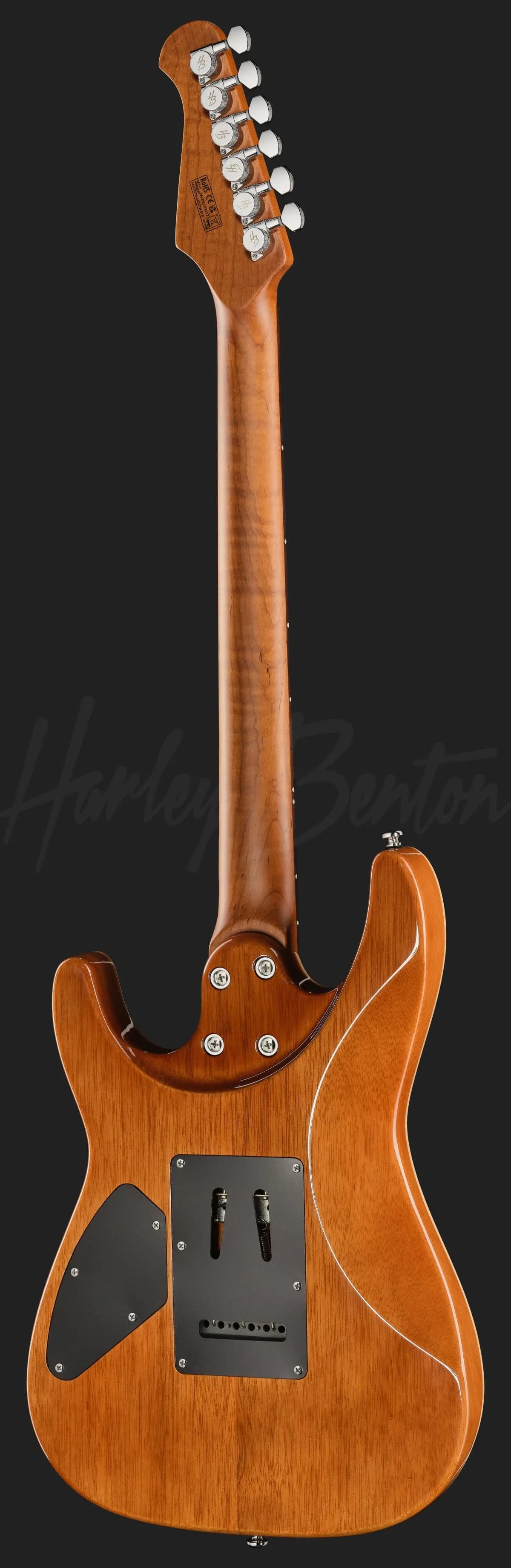 Harley Benton Fusion-IV HSH RW QRG — photo 3