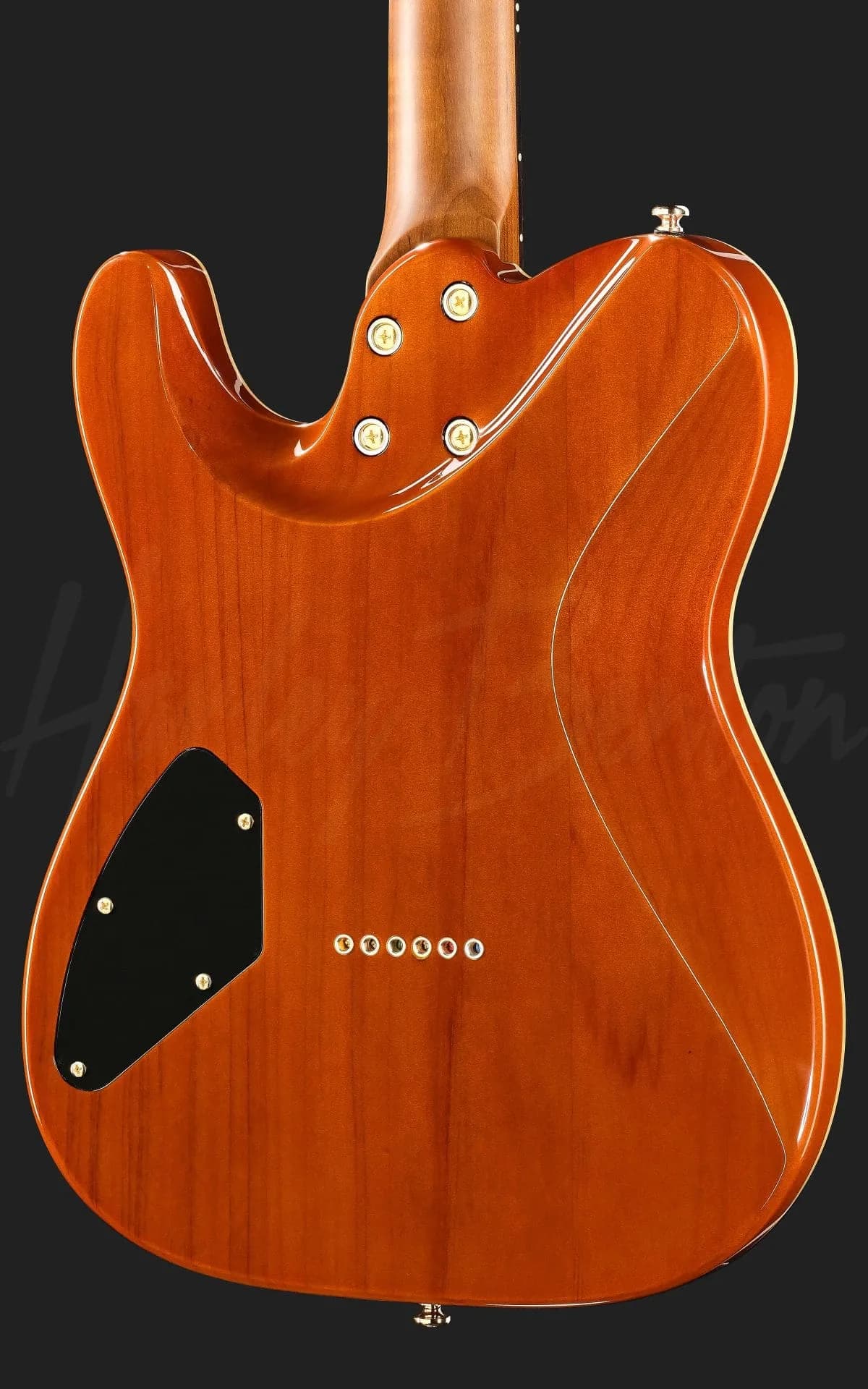 Harley Benton Fusion-T II HH RW HT PM — photo 5