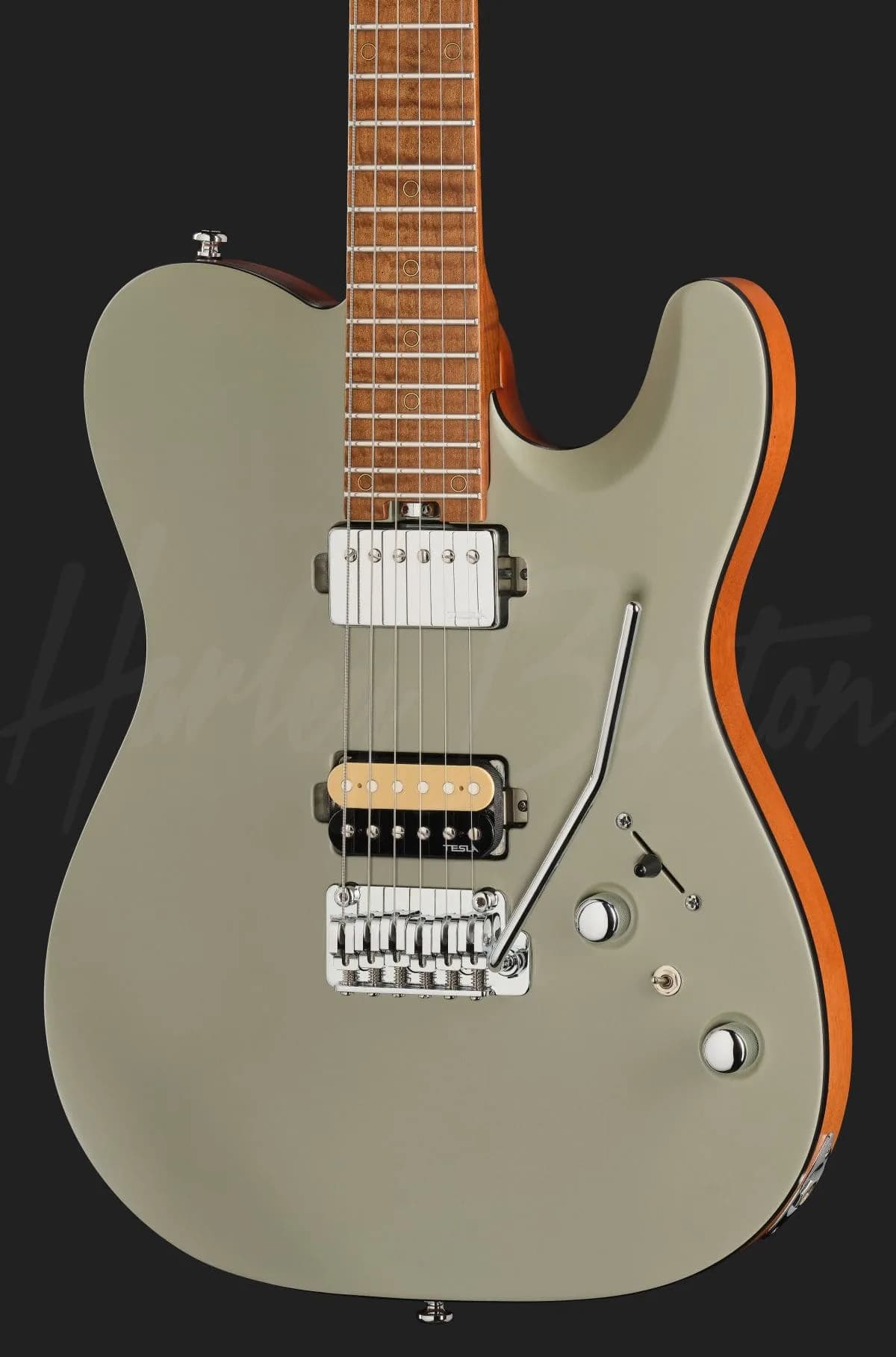 Harley Benton Fusion-T II HH MN SGR — photo 4