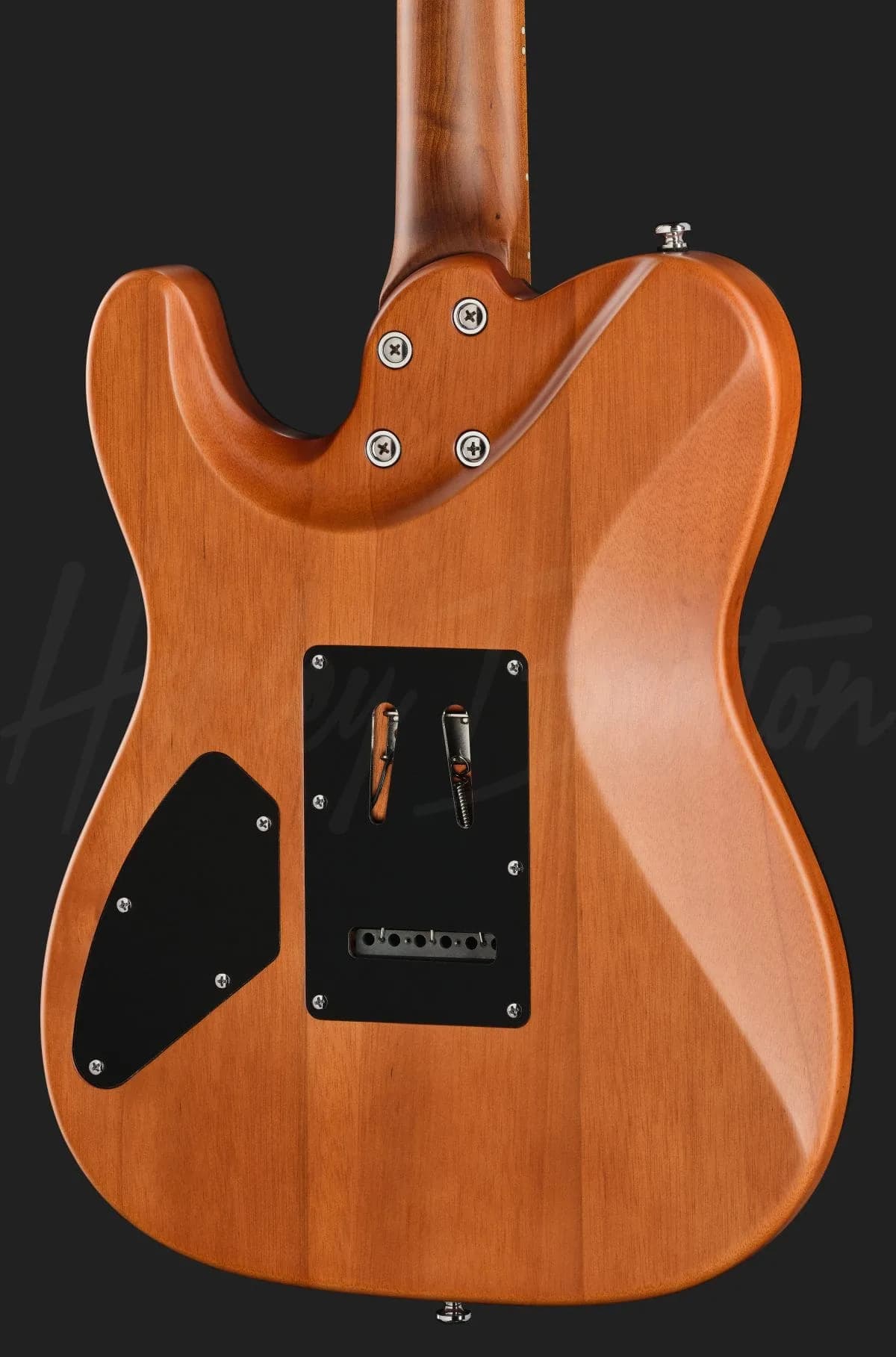 Harley Benton Fusion-T II HH MN SGR — photo 5