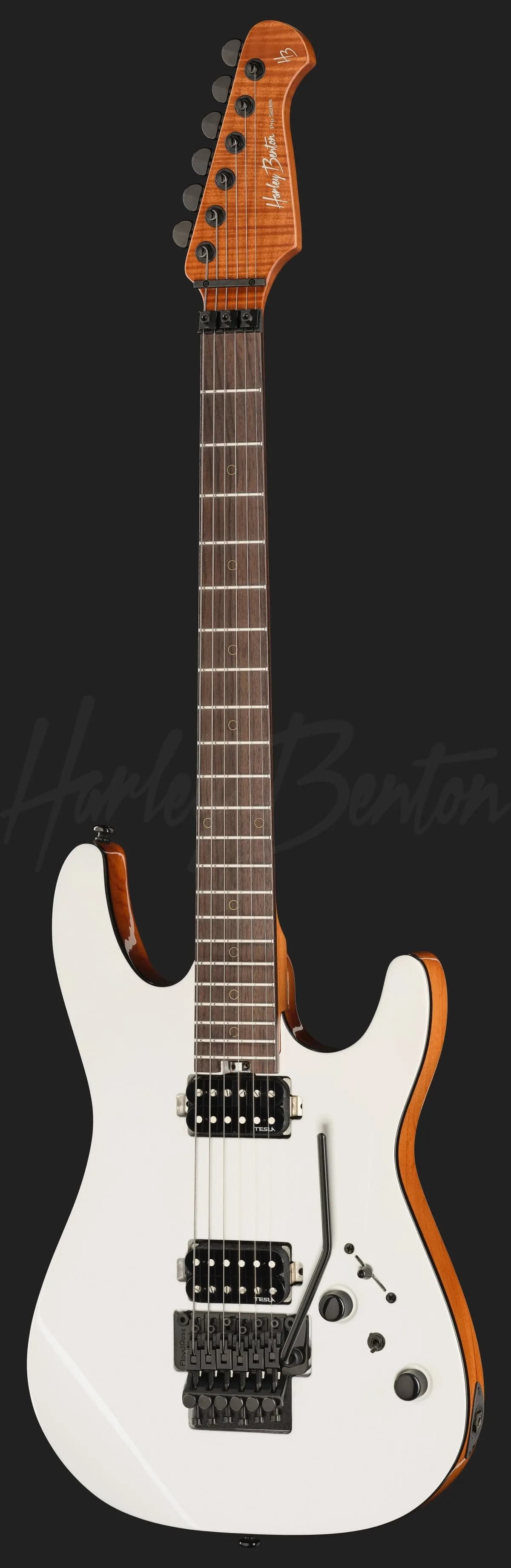 Harley Benton Fusion-IV HH RW FR WM — photo 2