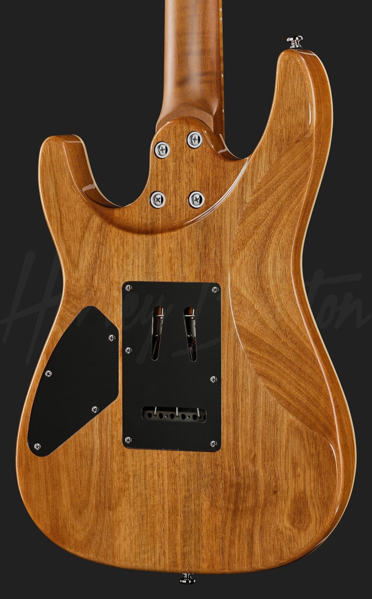 Harley Benton Fusion-IV HSS MN QRG — photo 5