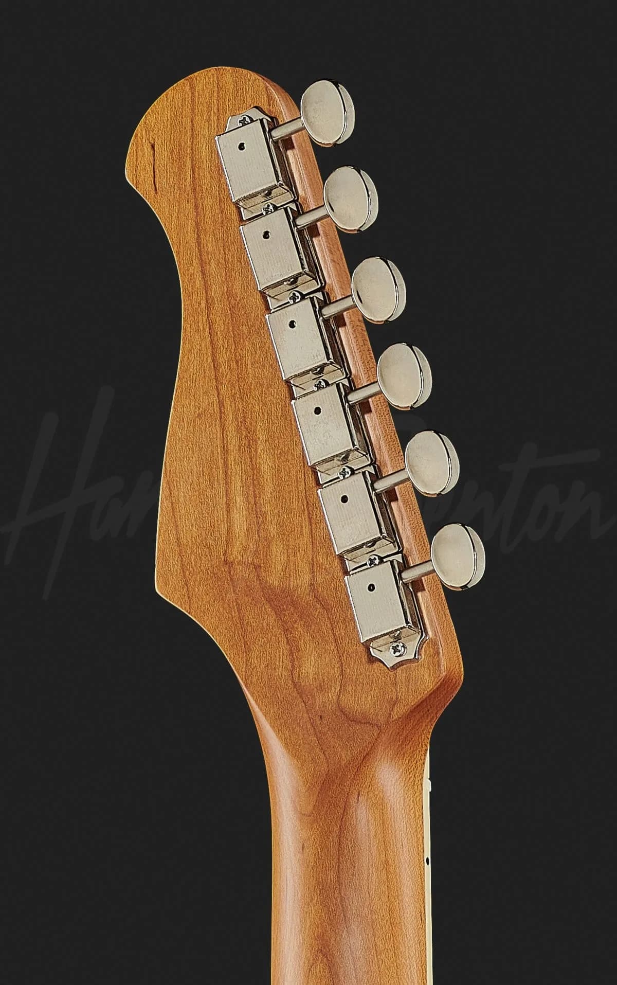 Harley Benton JA-60 VW — photo 7