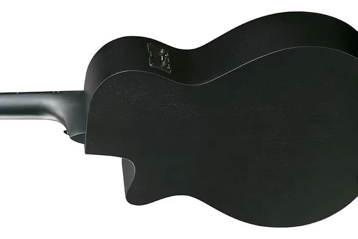 Ibanez AEG1221 — photo 3