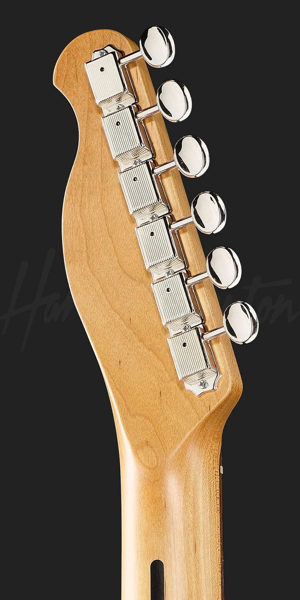 Harley Benton TE-62DB Tremolo BK — photo 7