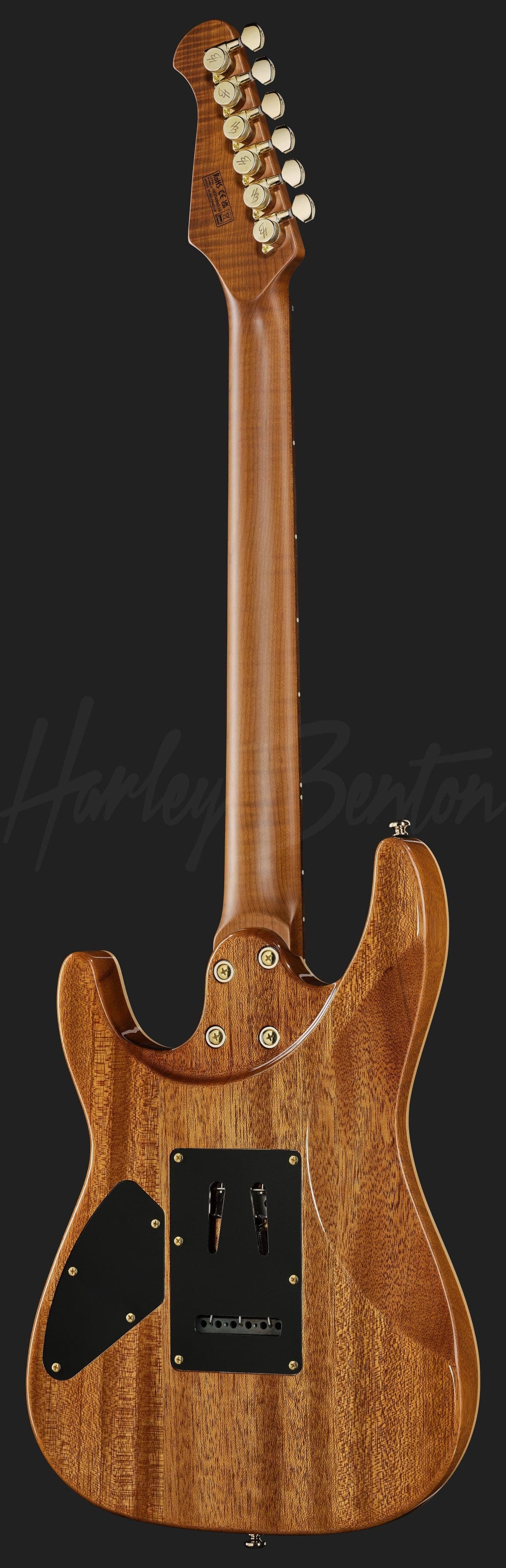 Harley Benton Fusion-IV HH RW FBB — photo 3