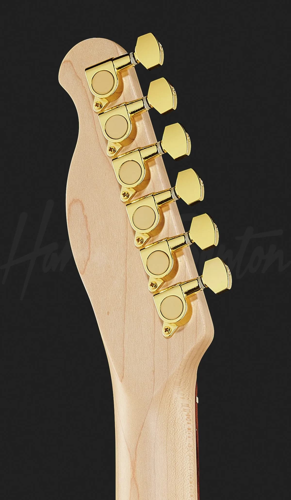Harley Benton TE-40 TBK — photo 7
