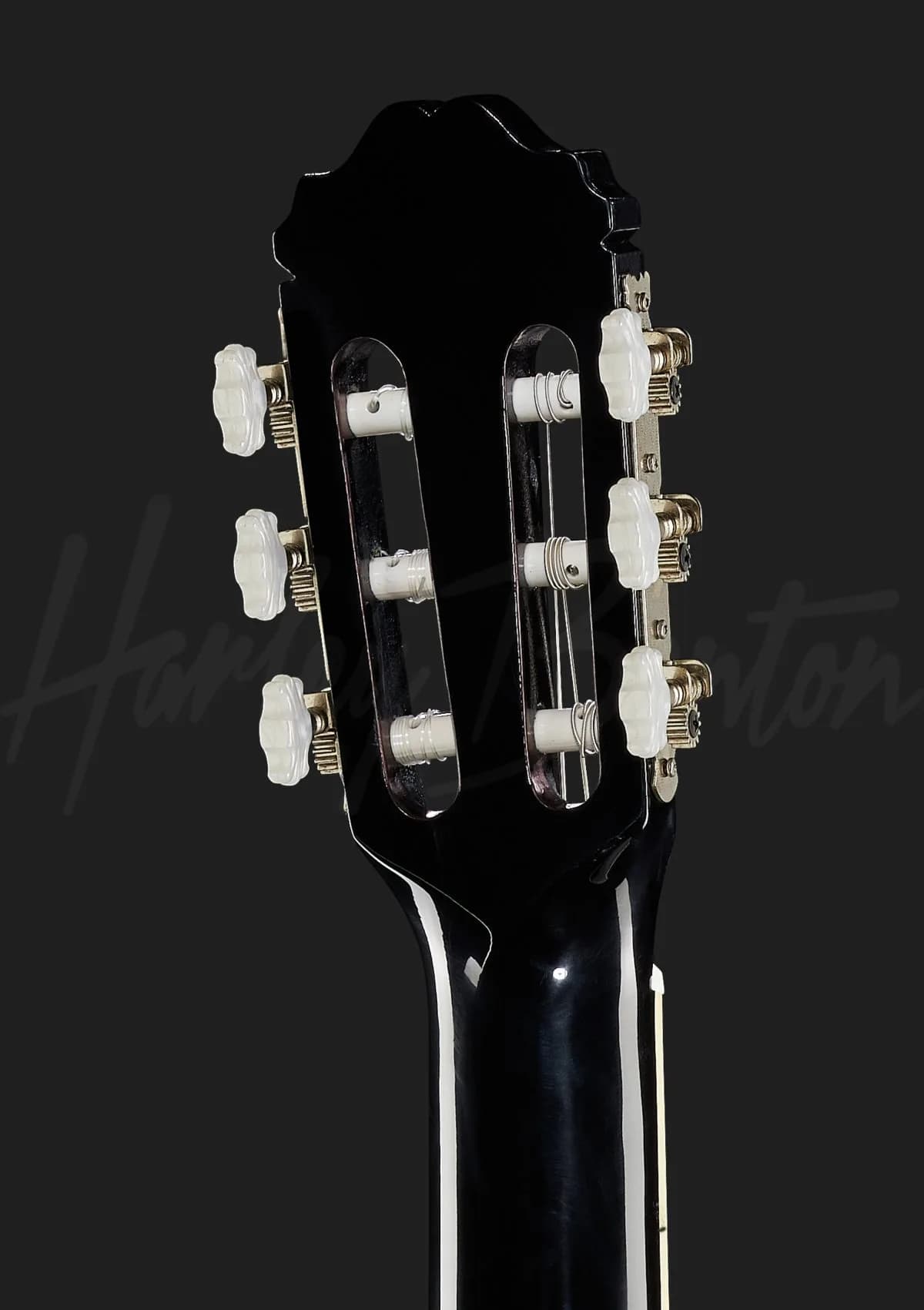 Harley Benton CG200CE-BK — photo 7