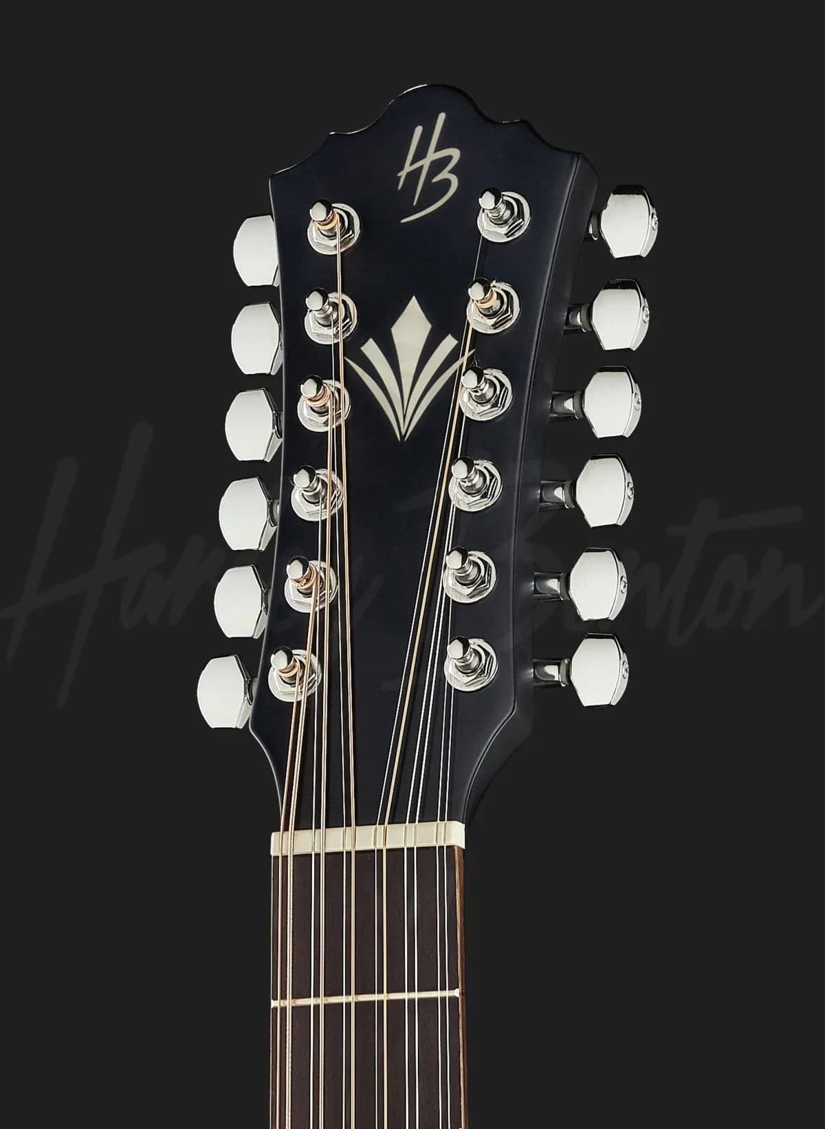 Harley Benton CLD-10SCE-12 BK — photo 6