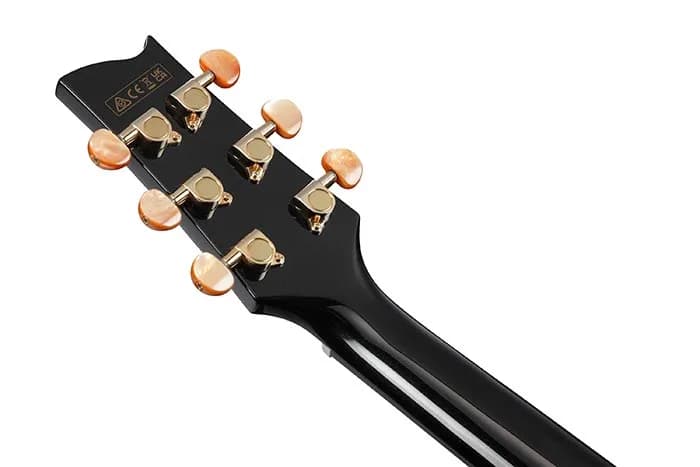 Ibanez EP5 — photo 2