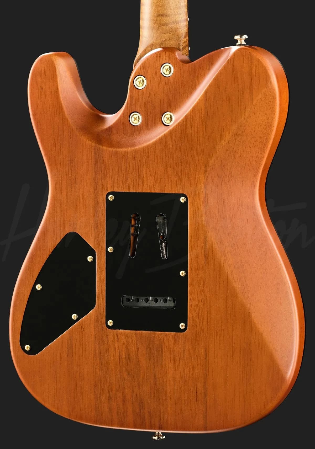 Harley Benton Fusion-T II HH RW SGD — photo 5
