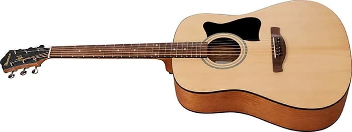 Ibanez V40 — photo 4