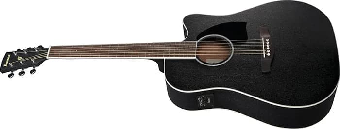 Ibanez PF16MWCE — photo 8