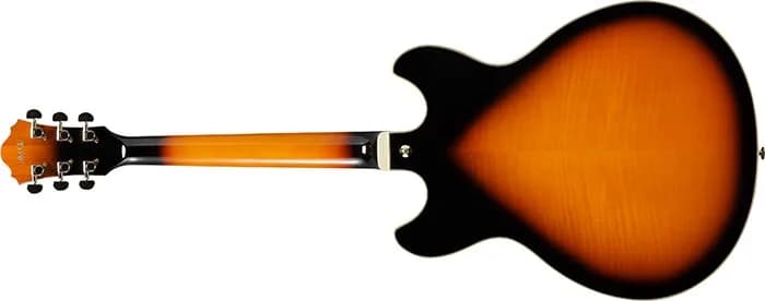 Ibanez AS113 — photo 5