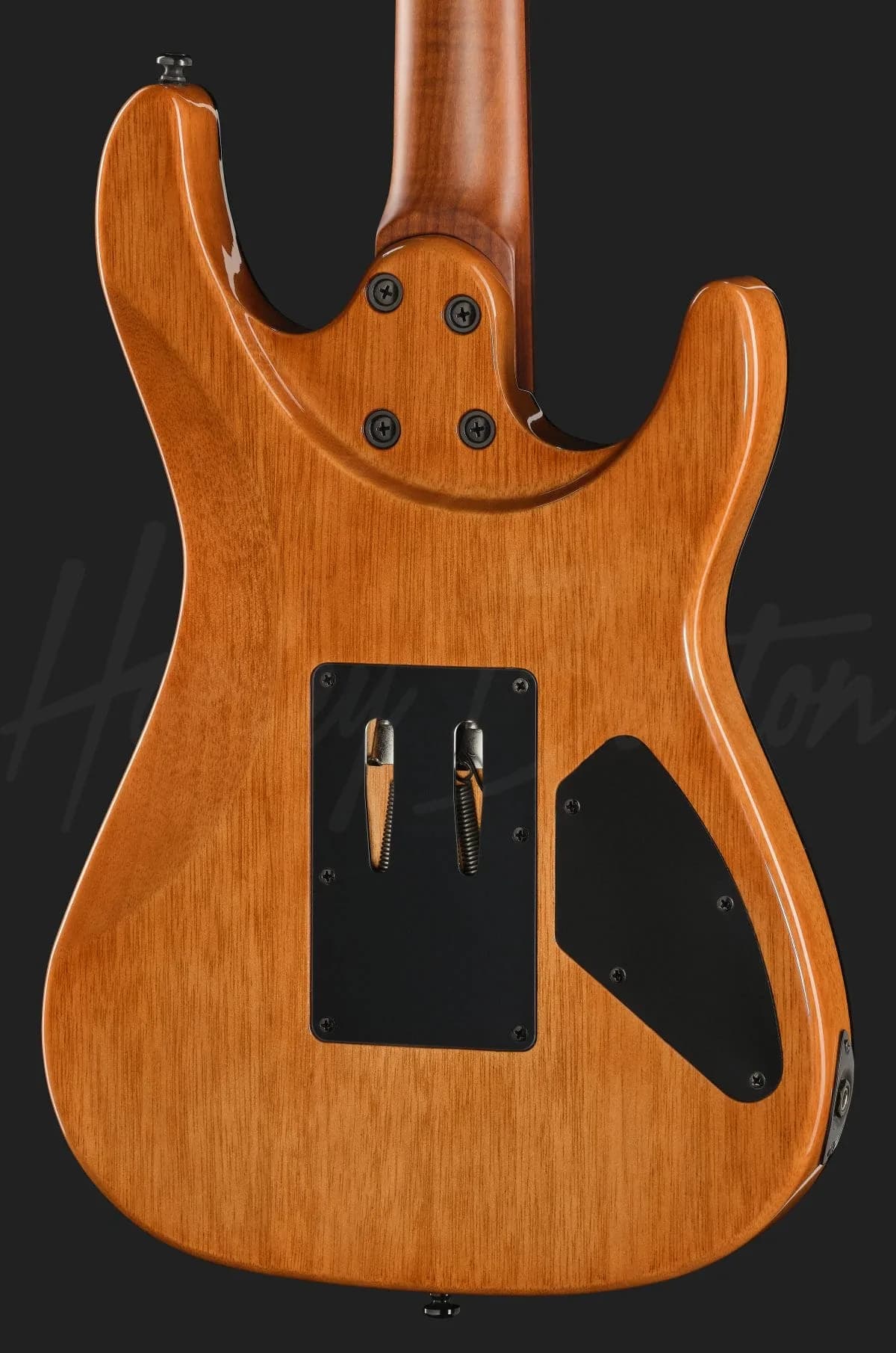 Harley Benton Fusion-IV HH LH RW FR WM — photo 5