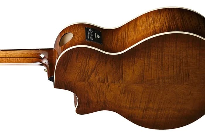 Ibanez AE3007FMH — photo 3