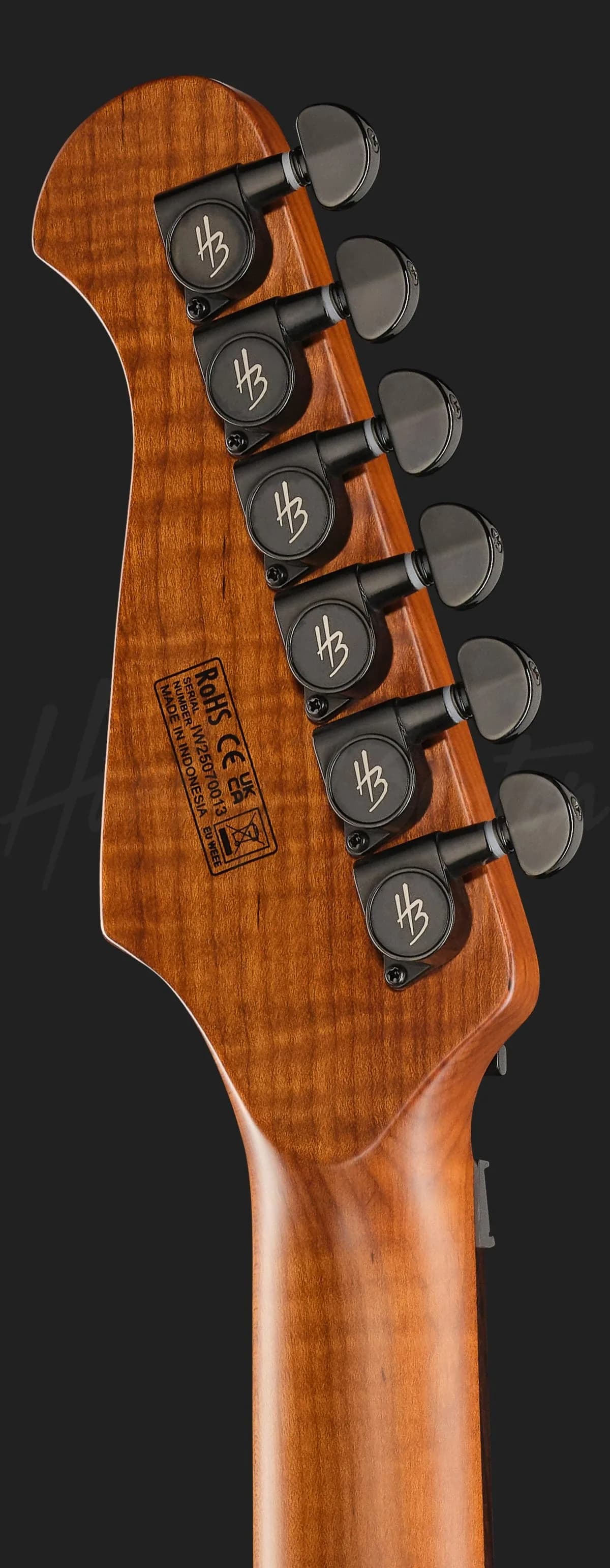 Harley Benton Fusion-IV HH RW FR WM — photo 7