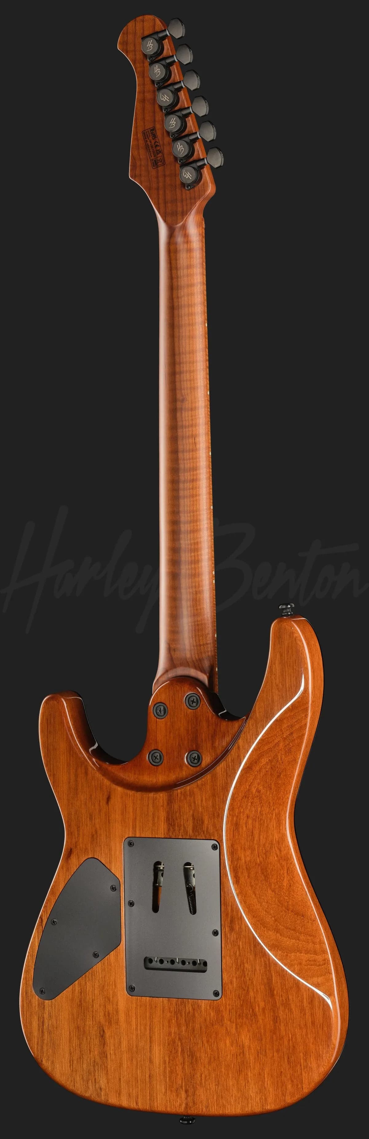 Harley Benton Fusion-IV HSH MN WM — photo 3