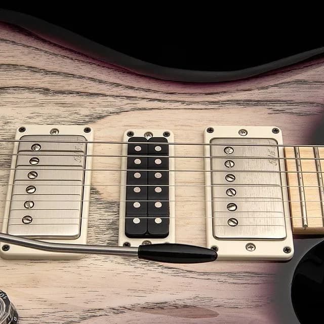 PRS Swamp Ash Special Maple — photo 4