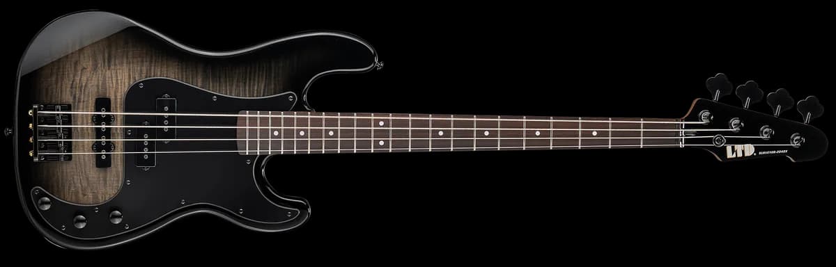 ESP SURVEYOR-204DX Black Burst
