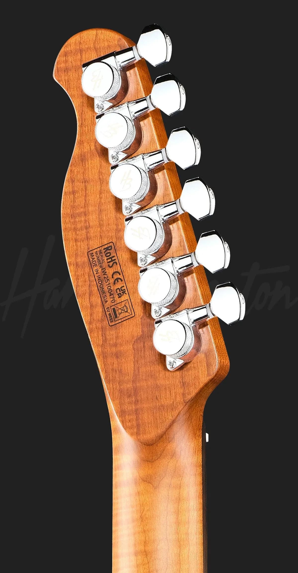 Harley Benton Fusion-T II HH RW QRB — photo 7