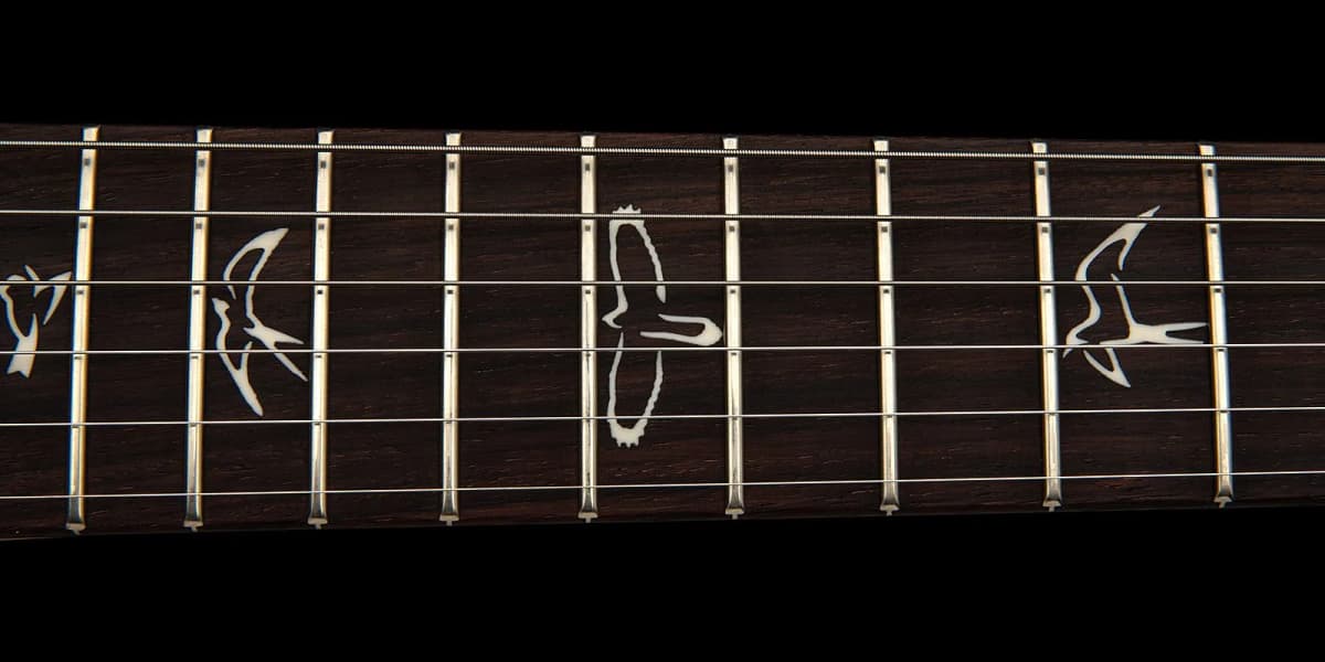 PRS Swamp Ash Special — photo 5