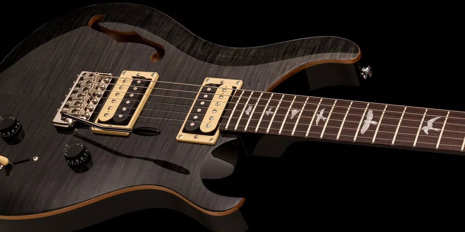 PRS SE Custom 22 Semi-Hollow