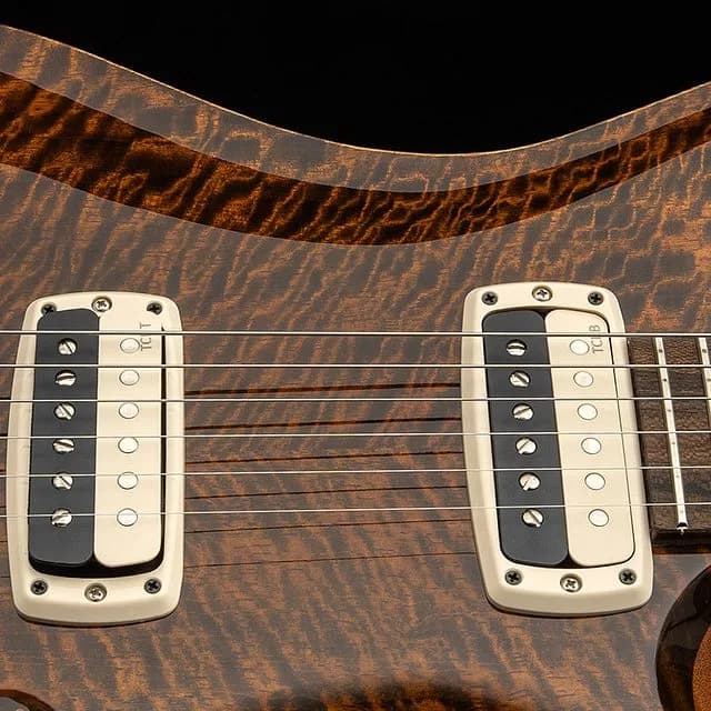 PRS Paul's Guitar Mango Top Limited Edition — photo 4