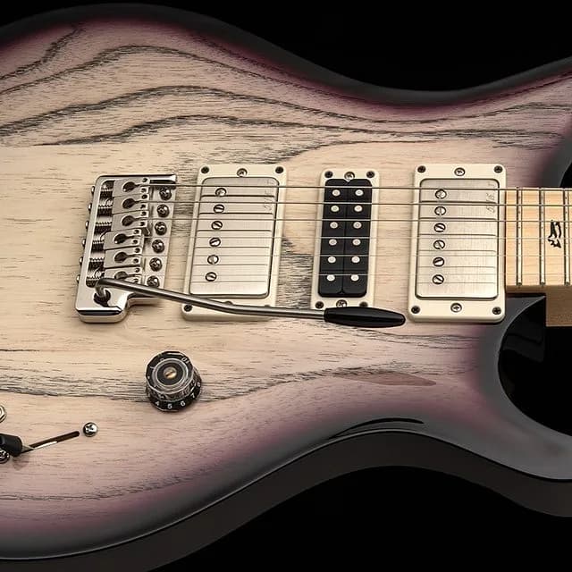 PRS Swamp Ash Special Maple — photo 2