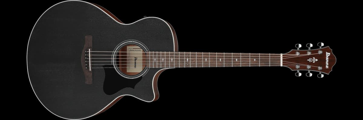 Ibanez AE140