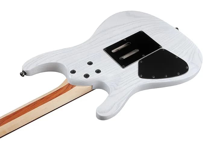 Ibanez PWM20 — photo 3