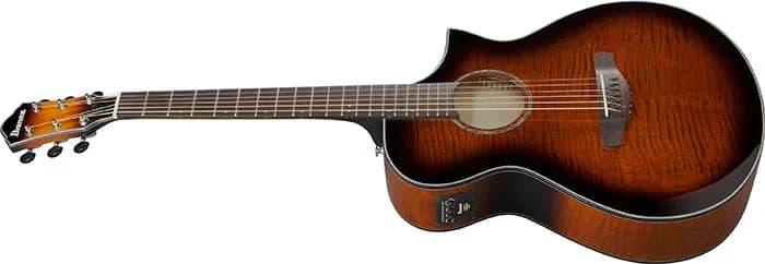 Ibanez AEWC400 — photo 8
