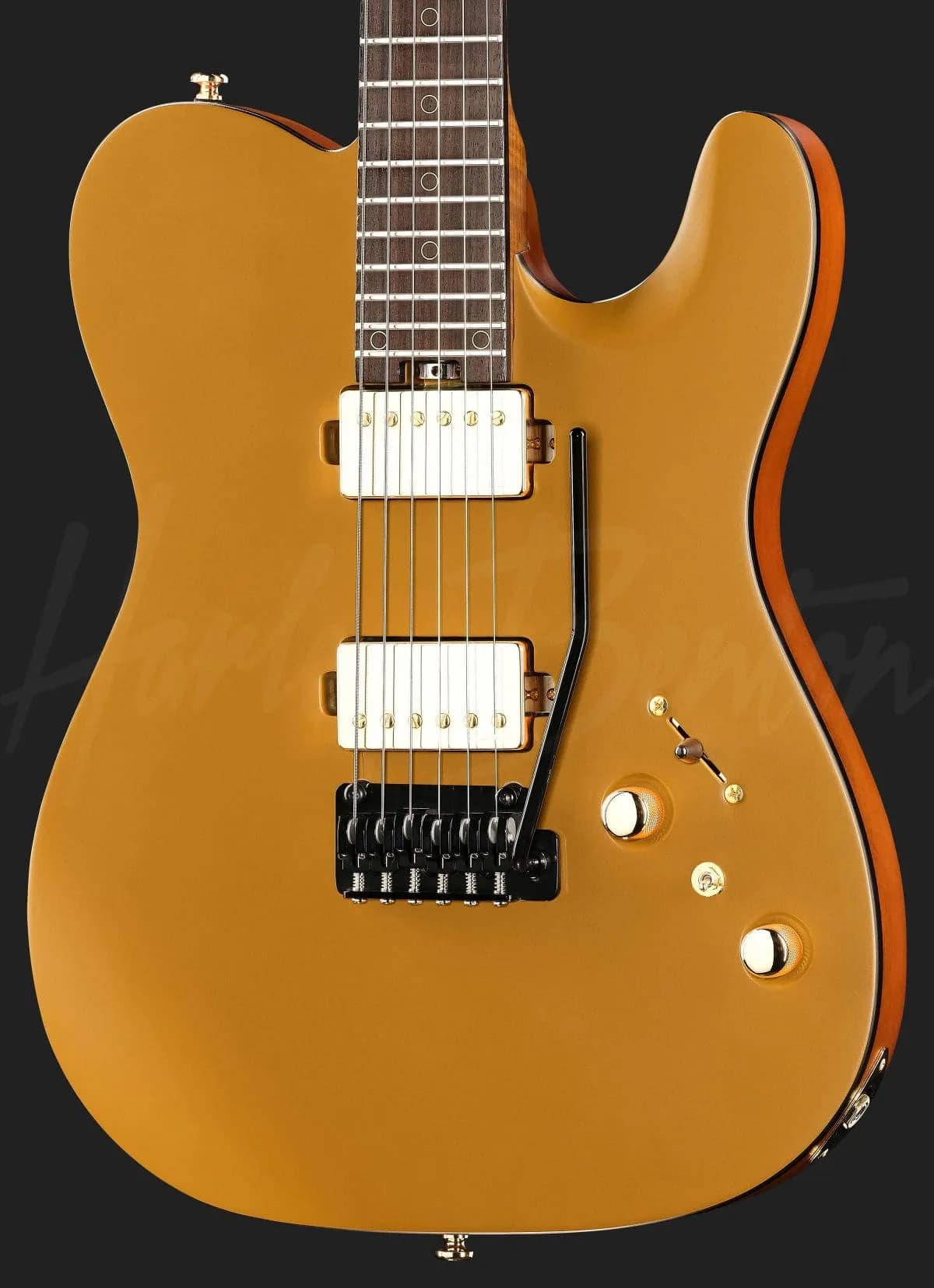 Harley Benton Fusion-T II HH RW SGD — photo 4