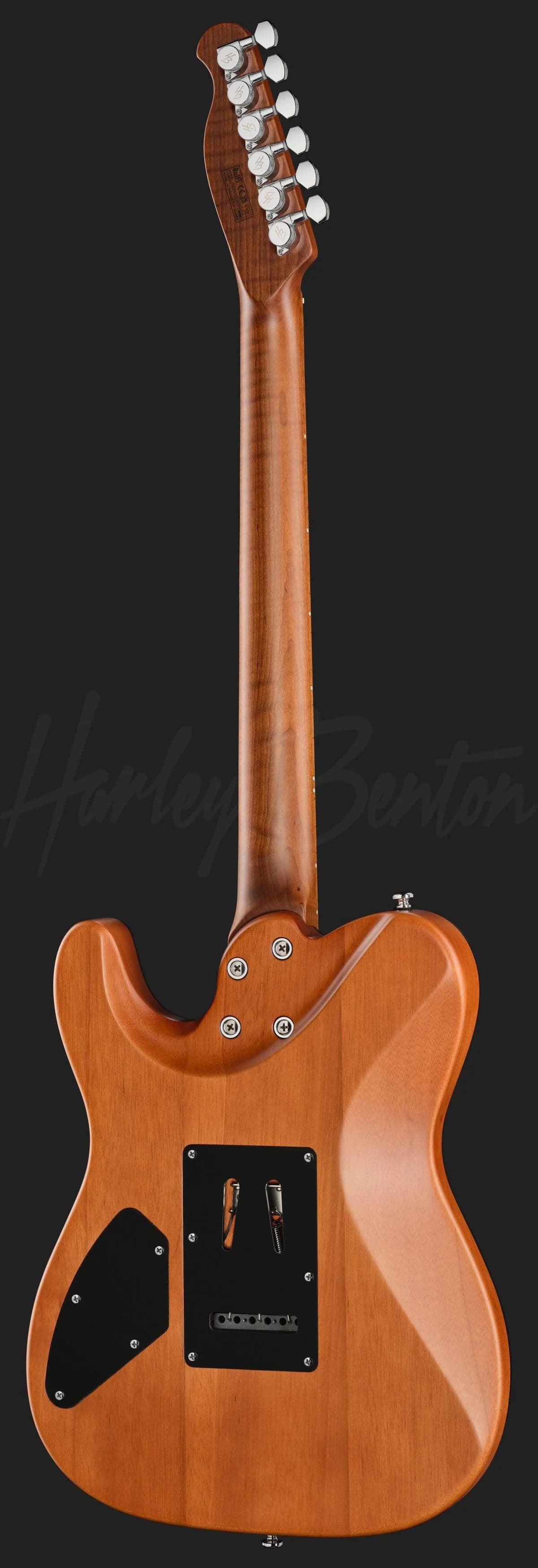 Harley Benton Fusion-T II HH MN SGR — photo 3