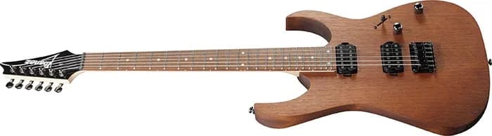 Ibanez RG421 — photo 4