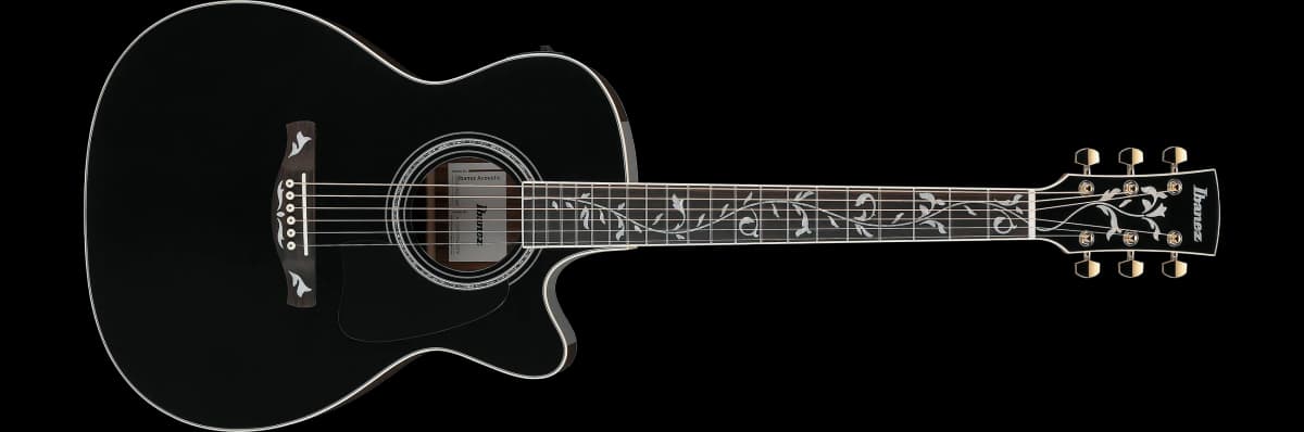 Ibanez AC391RCE