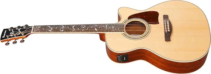 Ibanez AC390CE — photo 4