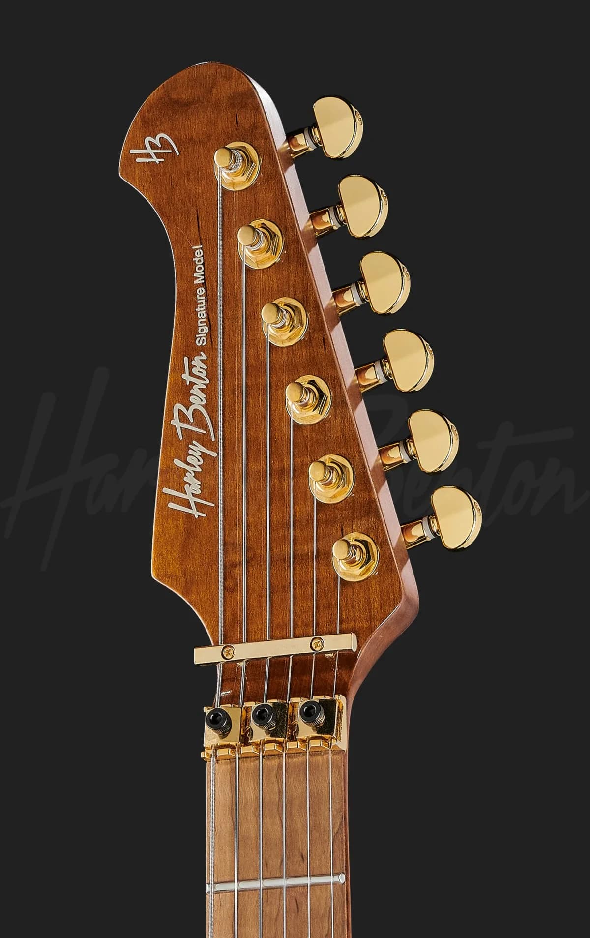 Harley Benton Guitar MAX Fusion Signature — photo 6