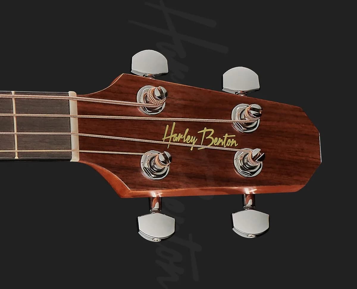 Harley Benton GS-Travel-E Bass Spruce — photo 6